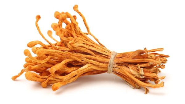 'Cordyceps': Zararlı Pull Request'ler Geliştirici İş Akışlarını Tehdit Ediyor