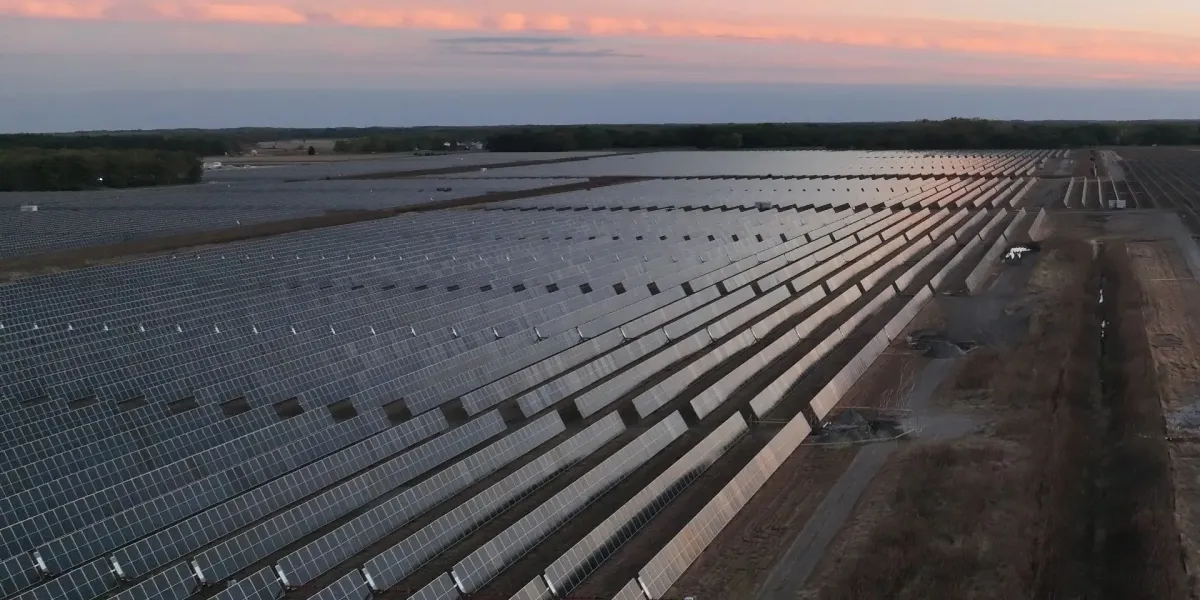 ABD'de Yenilenebilir Enerjinin Elektrik Üretimindeki Payı Yüzde 30'a Ulaştı