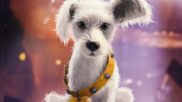 Supergirl'de Köpek Sevenleri Zorlayacak Sahneler Var