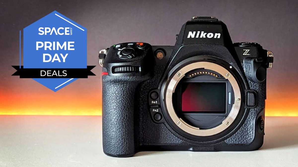Bu Nikon Z8 Fırsatını Görmek Can Yakıcı — Özellikle Kameramı Tam Fiyatına Aldığımı Düşününce!