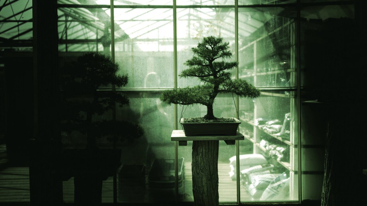 Bonsai 27B: Cebinize Sığan İlk 27 Milyar Parametreli Yapay Zeka Modeli