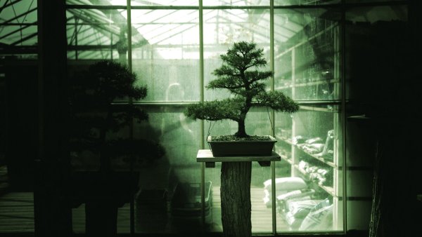 Bonsai 27B: Cebinize Sığan İlk 27 Milyar Parametreli Yapay Zeka Modeli