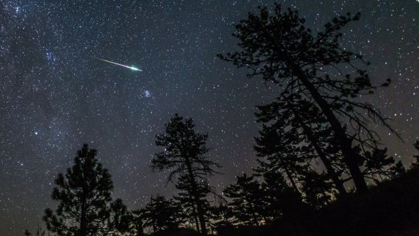 Milyarlarca Mil ve Binlerce Yılın Ardından: Bir Perseid Kayan Yıldızının Hayatı