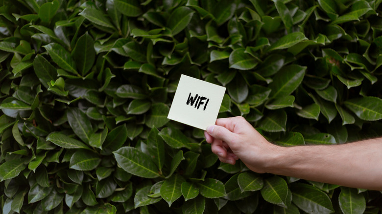 Bir kişinin elinde WiFi yazılı bir not kağıdı
