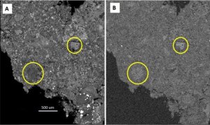 NASA'nın 'Bozulmamış' Göktaşı İncelemesi, Antik Asteroitlerin Sırrını Aralıyor