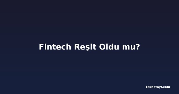 Fintech Reşit Oldu mu?