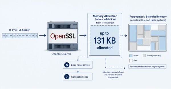 OpenSSL'deki HollowByte Açığı: 11 Baytlık TLS İsteği Sunucu Belleğini Dondurabilir