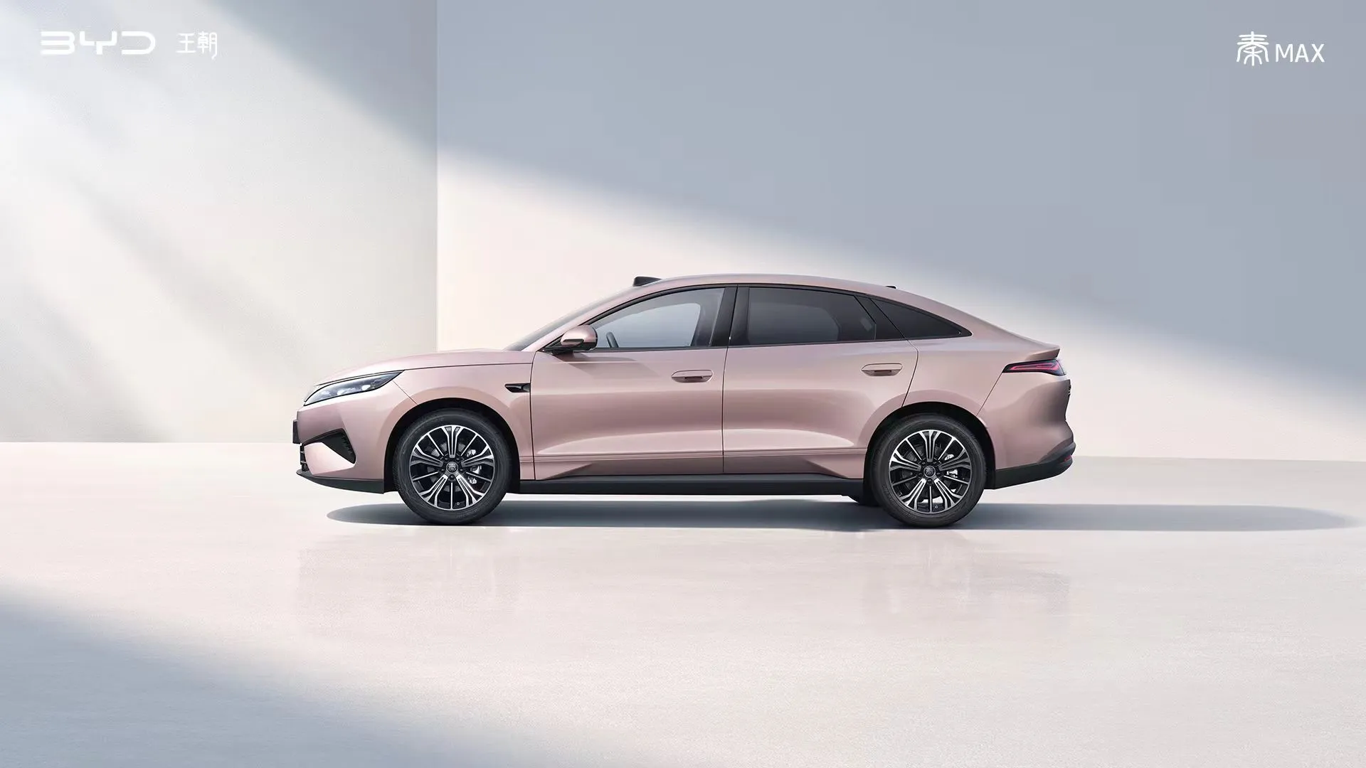BYD-Qin-Max-EV-side-images