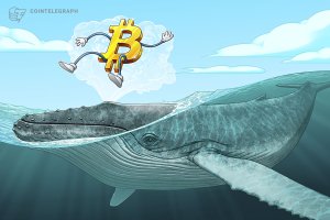 Kripto Balinaları Birikime Geçti: CryptoQuant'a Göre Ayı Piyasasının Son Aşaması