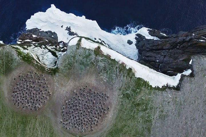 Oregon'u Saran Duman: Yangınlar 1 Milyon Dönümü Küle Çevirdi