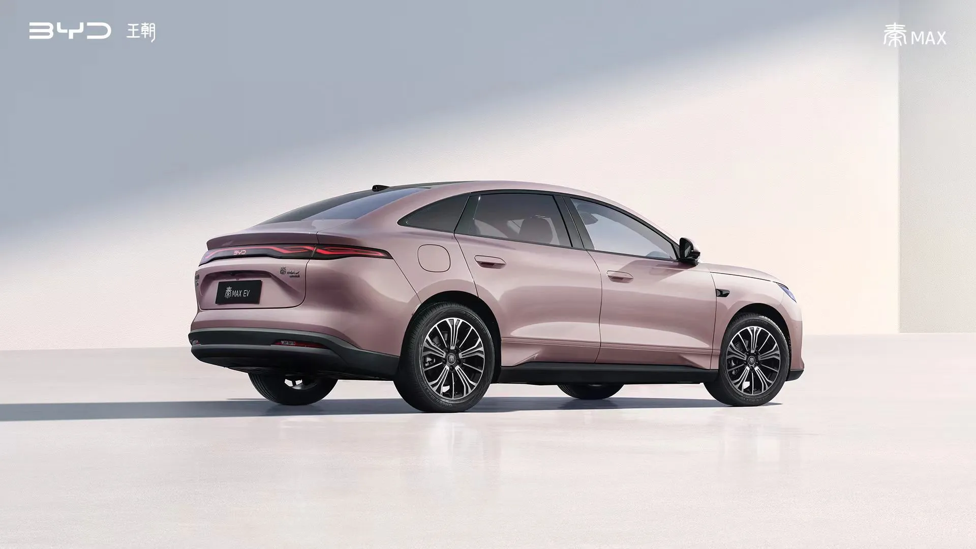 BYD-Qin-Max-EV-side-images