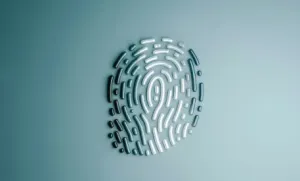 Google, Polonya'nın Authologic İle Dijital Kimlik Ortaklığı Kurdu
