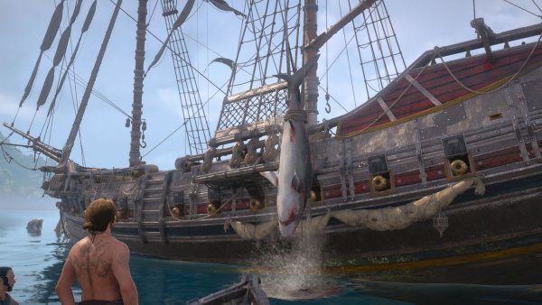 Assassin's Creed Black Flag Resynced'te Tüm Hayvan Postu, Deri ve Kürk Konumları