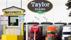 Taylor Farms'ın Trump Yönetimiyle Bağlantıları, Cyclospora Salgınına Verilen Yanıtın Soruşturulmasını Tetikledi