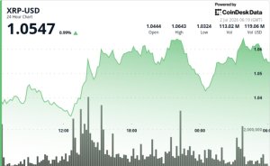 XRP Fiyatları Büyük Balina Hareketleri ile Artıyor
