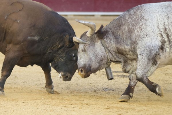 Boğalar Bitcoin'in 17 Yıllık Tarihinde Eşi Benzeri Görülmemiş Bir Sınavla Karşı Karşıya