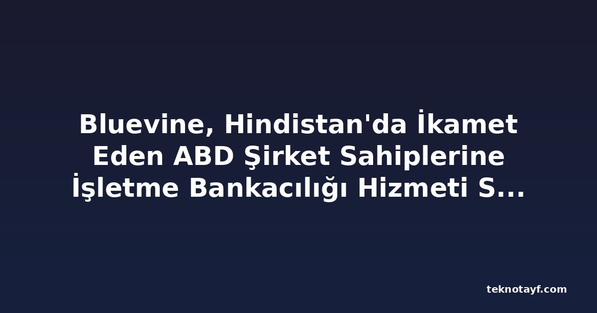 Bluevine, Hindistan'da İkamet Eden ABD Şirket Sahiplerine İşletme Bankacılığı Hizmeti Sunuyor