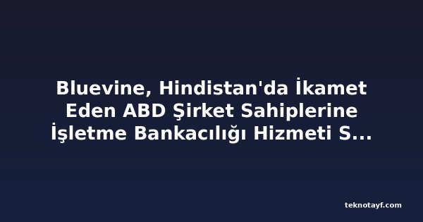 Bluevine, Hindistan'da İkamet Eden ABD Şirket Sahiplerine İşletme Bankacılığı Hizmeti Sunuyor