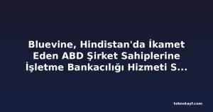 Bluevine, Hindistan'da İkamet Eden ABD Şirket Sahiplerine İşletme Bankacılığı Hizmeti Sunuyor