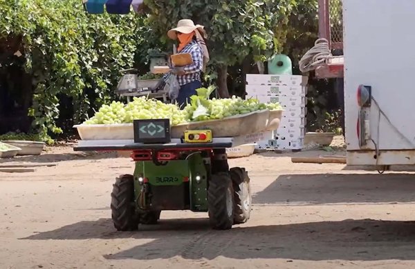 Öngörülemeyen, Altyapısız Ortamlarda Çalışacak Robotlar Geliştirmek
