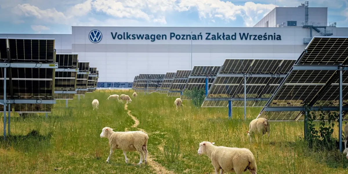 Volkswagen, 31.000 Güneş Panelinin Altında 100 Koyunu Çalıştırıyor