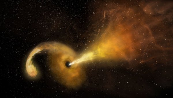 NASA'nın Swift'i 'Gezgin' Süper Kütleli Kara Deliğin Yıldızı Parçalayışını Gördü