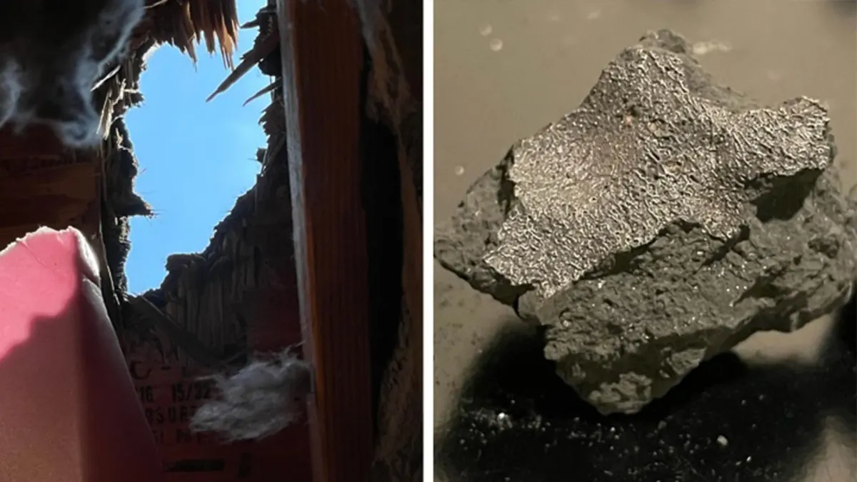 New Jersey'de Bir Evden Geçen Meteorit, Yaşamın Kökenlerine İlişkin İpuçlarını Açığa Çıkarıyor