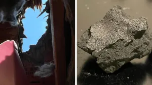 New Jersey'de Bir Evden Geçen Meteorit, Yaşamın Kökenlerine İlişkin İpuçlarını Açığa Çıkarıyor