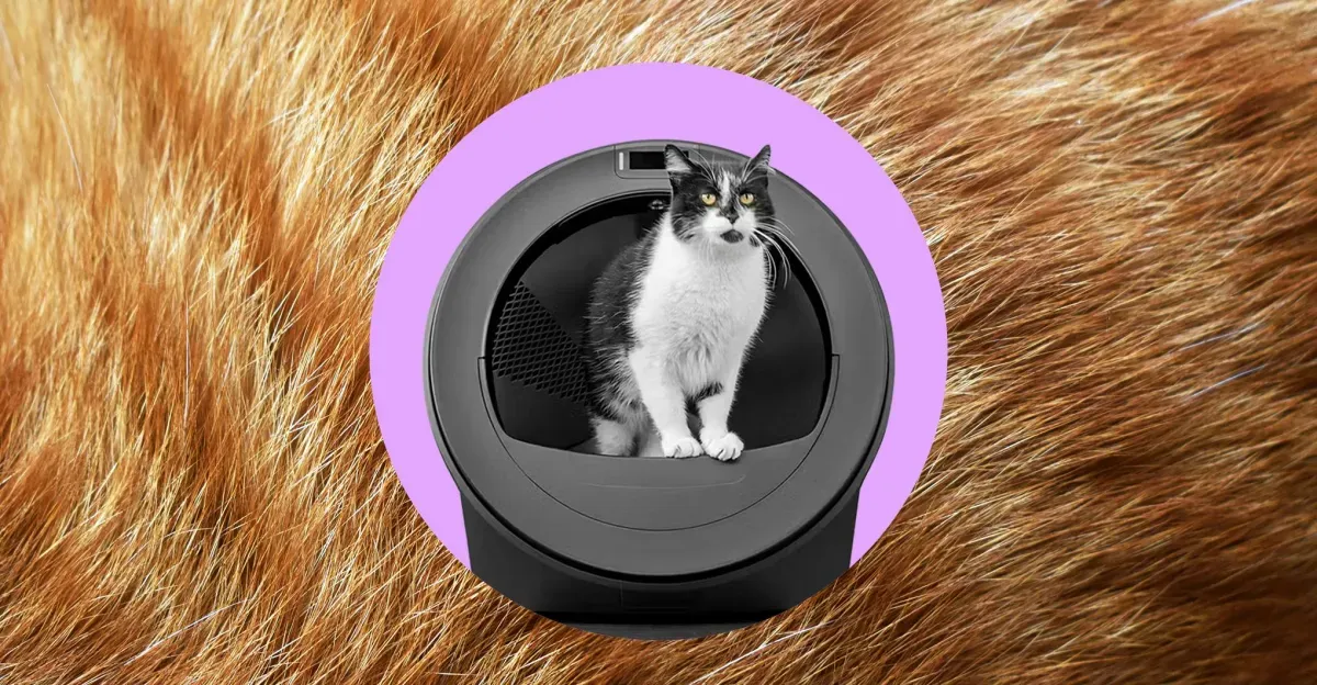 Kedi Sahipleri İçin AI Güçlü Litter Robot Deneyimi