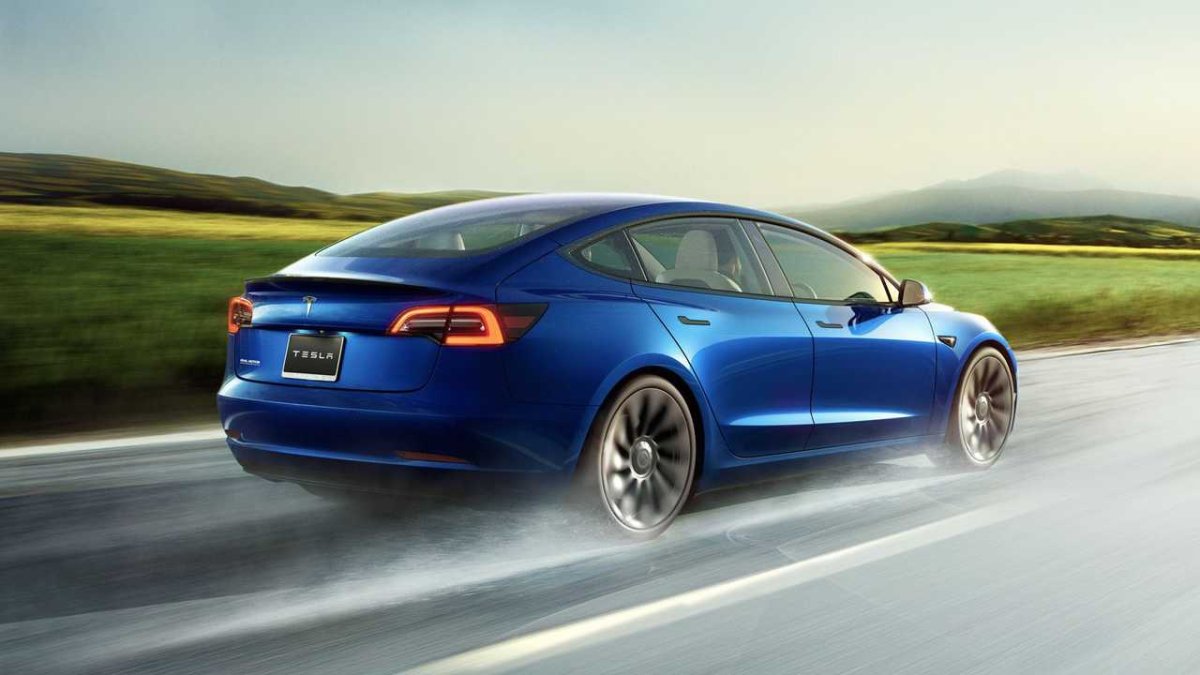 Tesla'nın FSD Lite Sistemi Yoldaki Ağaçları ve Kütükleri Görmekte Zorlanıyor
