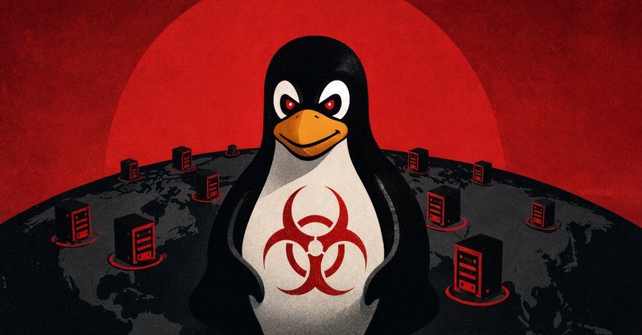 Evooo1Bot Linux Botneti Bilinen Açıkları Kullanarak Kenar Cihazları SOCKS5 Proksilerine Dönüştürüyor