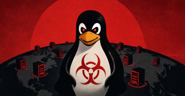 Evooo1Bot Linux Botneti Bilinen Açıkları Kullanarak Kenar Cihazları SOCKS5 Proksilerine Dönüştürüyor