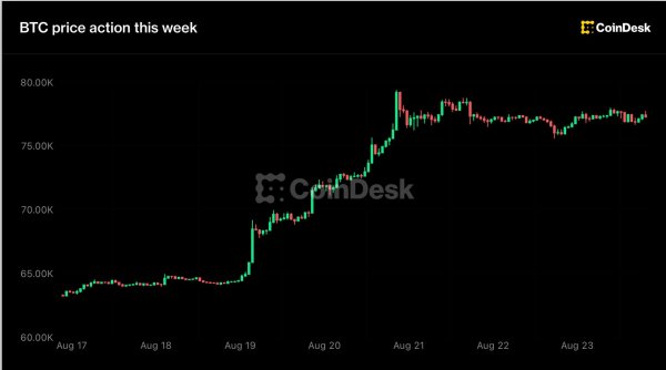 Bitcoin 77.000 Doları Tutanırken XRP ve Zcash Geri Çekiliyor
