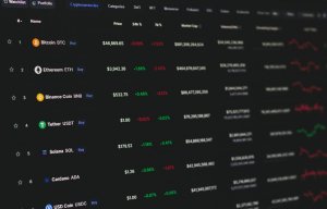 Kripto Yatırımcılar Piyasa Değeri Sıralamalarına Dikkat Etmiyor, Temellere Döndüler
