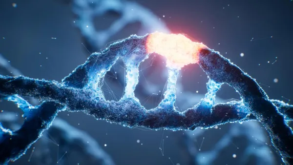 İnsan DNA'sındaki Gizli 'Açma Düğmesi' Sonunda Çözüldü