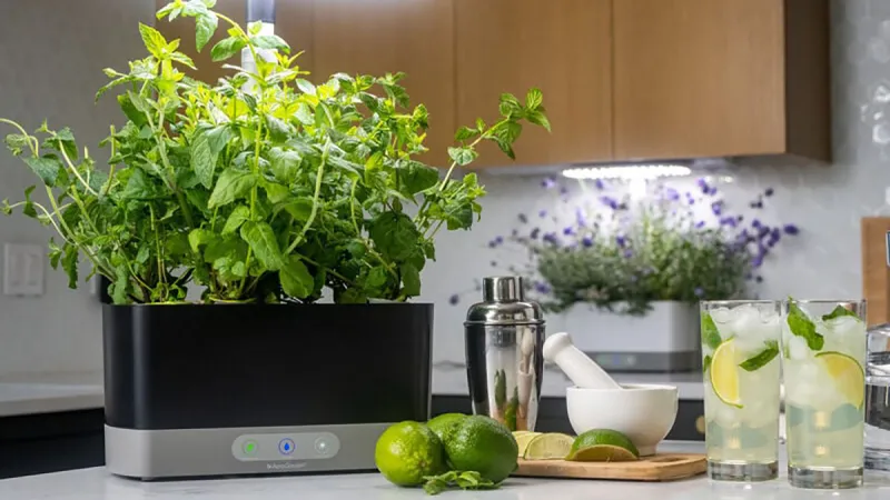 AeroGarden Harvest XL