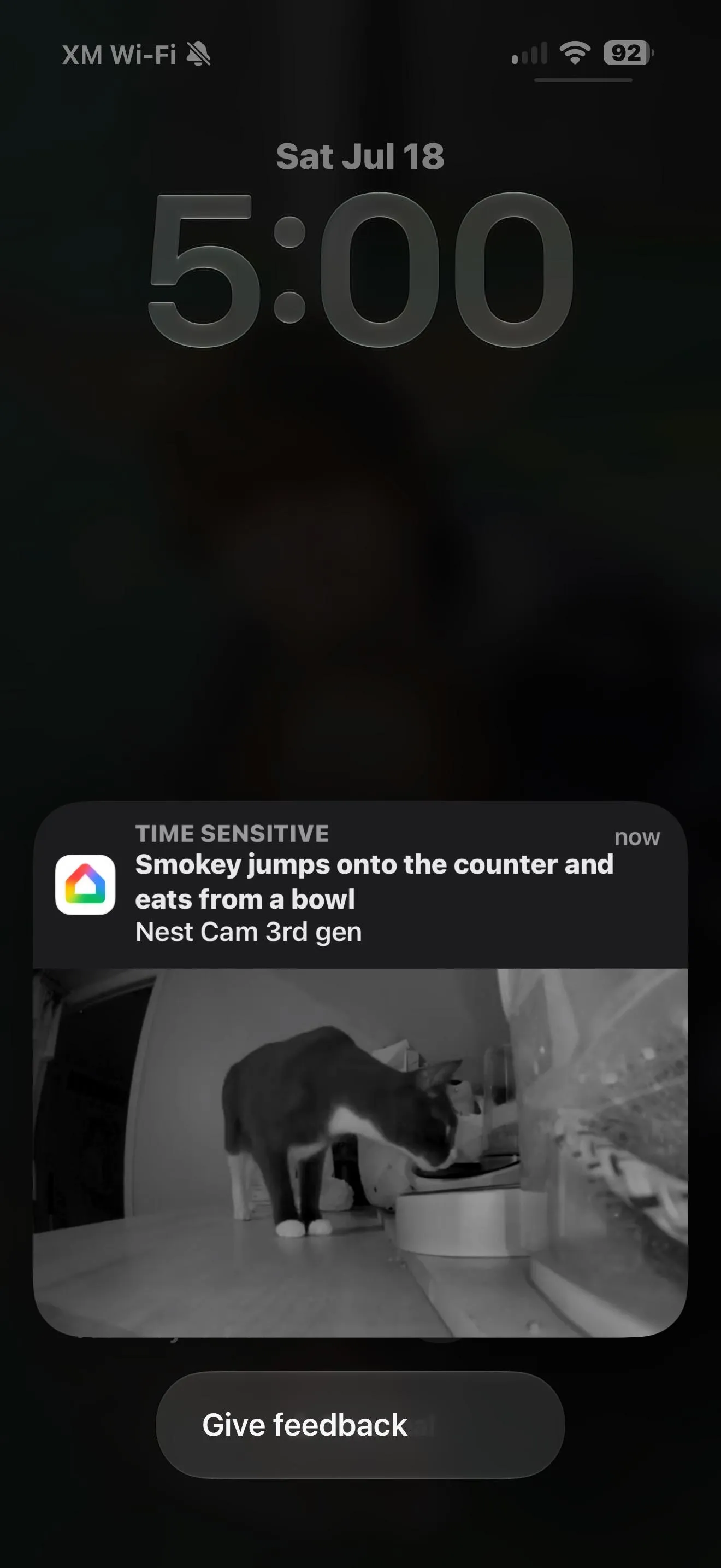 Bu Smokey değil, ancak Gemini for Home'un sağladığı daha ayrıntılı açıklamalara iyi bir örnek.
