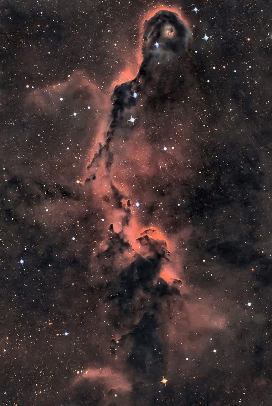 Cepheus'ta Fil Gözlemi