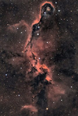 Cepheus'ta Fil Gözlemi