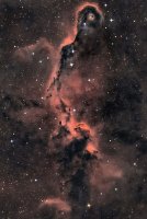 Cepheus'ta Fil Gözlemi