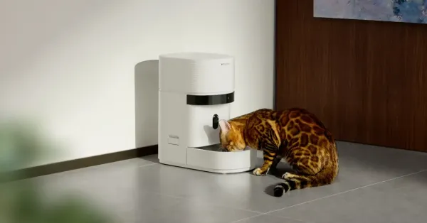 Popüler Akıllı Mama Kapları Çökünce Kediler ve Köpekler Aç Kaldı