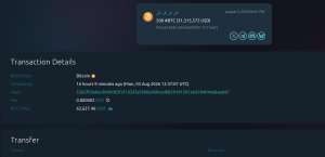 2013'ten Beri Hareketsiz Olan Bitcoin Cüzdanı 31 Milyon Dolar Taşıdı, Tek Değil
