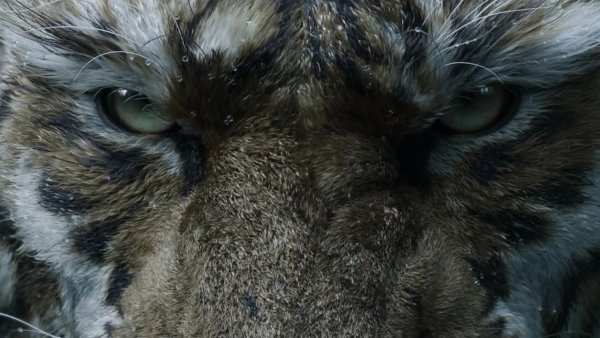 Black Myth: Wukong Devleri, The Odyssey ve Christopher Nolan'ın Yönetmenlik Tekniği İle İlgili