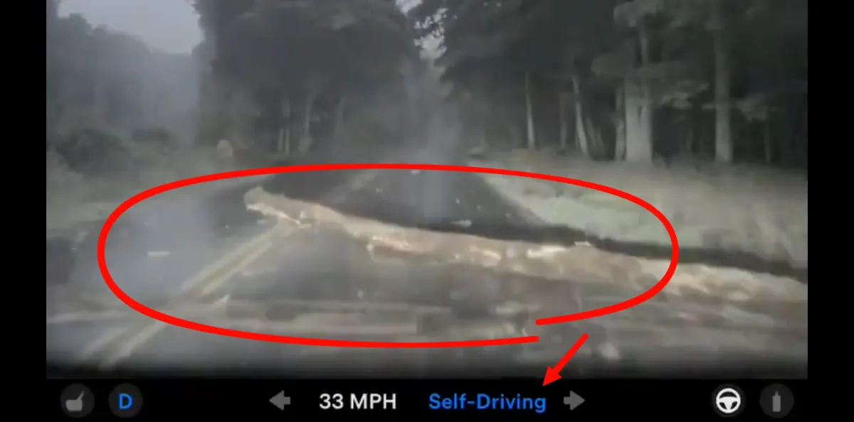 Tesla FSD v14 Lite Sürücüsüz Araç Giant Bir Ağacın Üzerinden Geçti