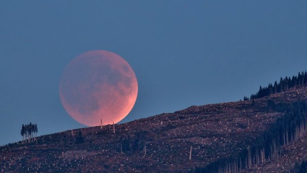 NASA'dan Ağustos 2026 Gökyüzü Rehberi: Güneş Tutulması ve Perseidler Sizi Bekliyor