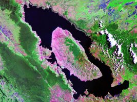 Toba Dağı Patlaması İnsan Türünü Neredeysen Yok Etmedi