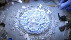 Plastik Atıkları Hidrojen Yakıtına Dönüştüren Yeni Yöntem, Karbonu da Hapsediyor