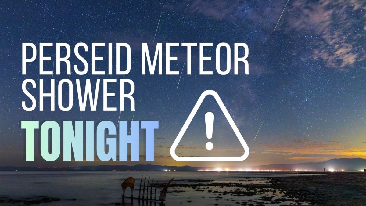 Perseid Meteor Yağmuru Bu Gece Mükemmel Gökyüzünde Zirve Yapıyor: İşte Beklentiler