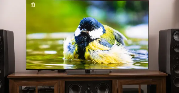 Sadece LG değil, her TV şirketi sizi gözetliyor