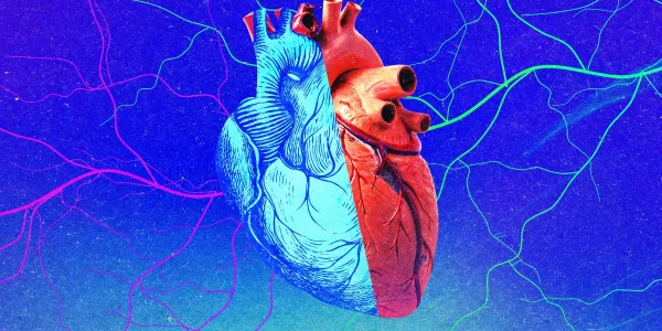 Genç organlar alıcılar için gençlik pınarı olmayabilir